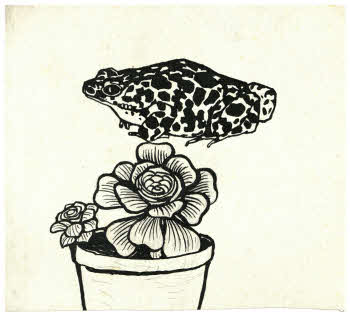 Visualizza l'immagine "FD D 1439"